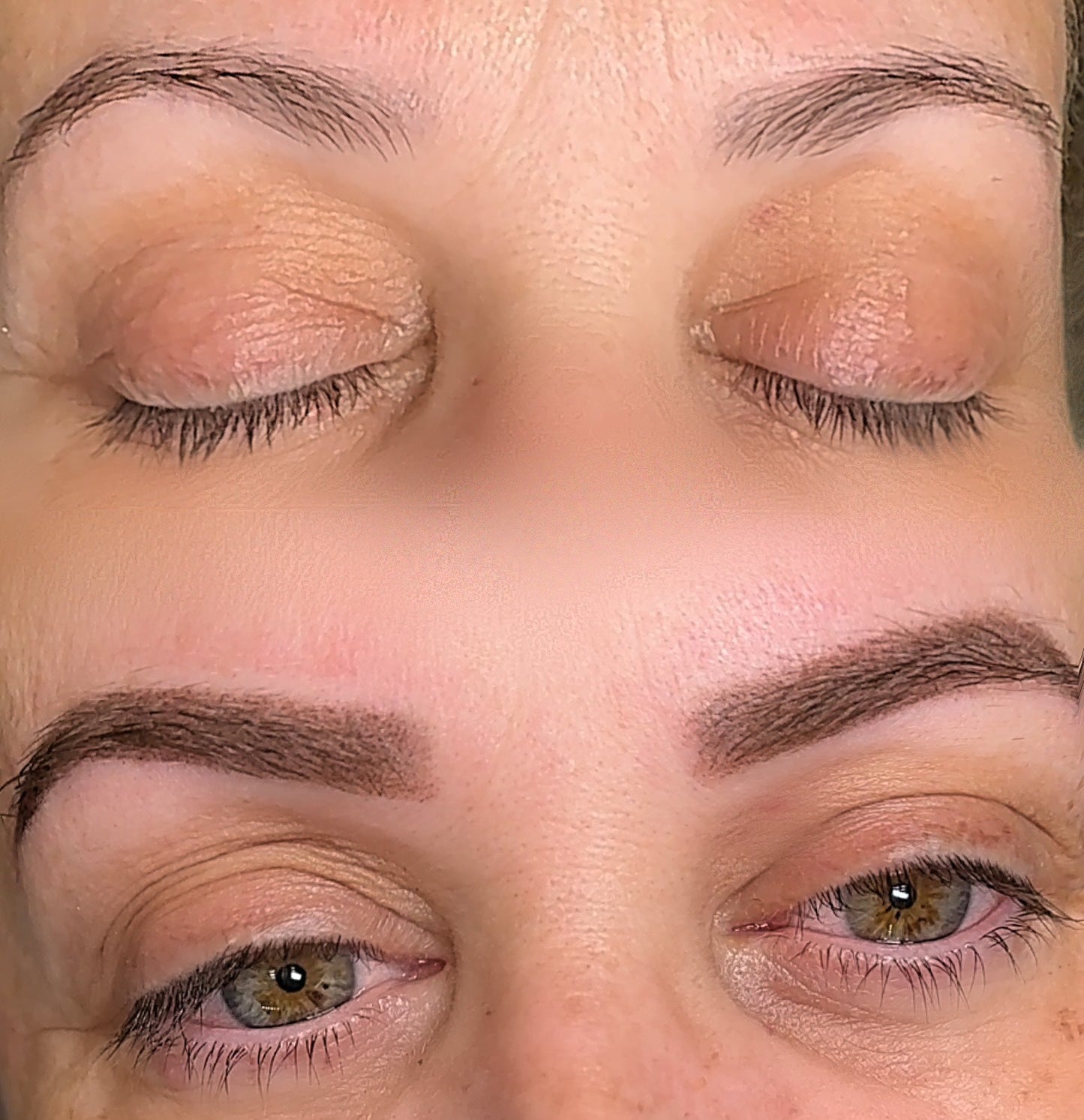 Ombre/ Powder Brows